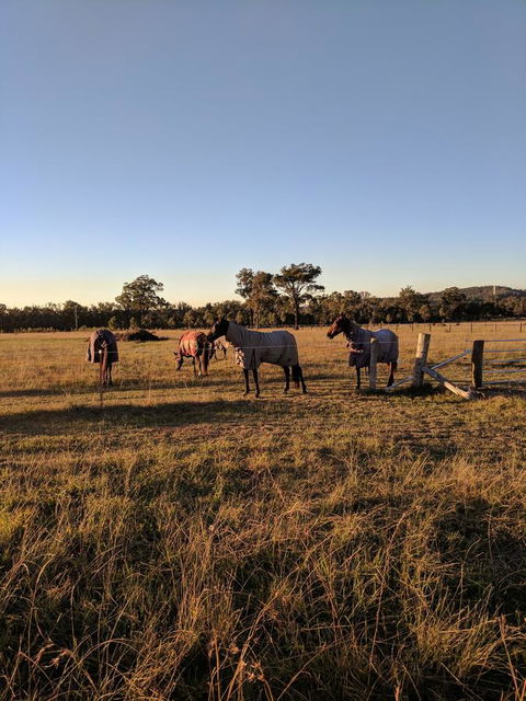Madigan Wine Country Cottages - ACT Tourism 8