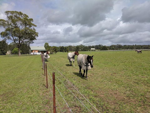 Madigan Wine Country Cottages - ACT Tourism 9