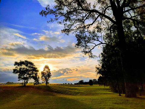 Madigan Wine Country Cottages - ACT Tourism 11