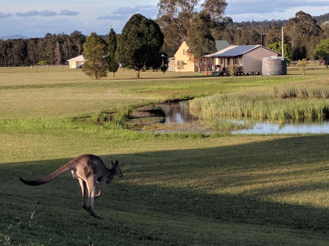 Madigan Wine Country Cottages - ACT Tourism 6