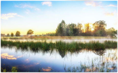 Madigan Wine Country Cottages - ACT Tourism 19