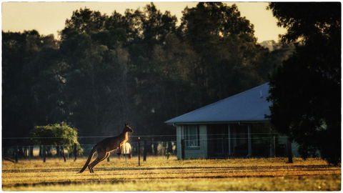 Madigan Wine Country Cottages - ACT Tourism 5