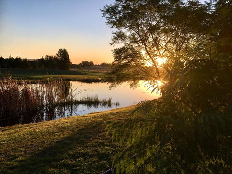 Madigan Wine Country Cottages - ACT Tourism 17