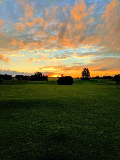 Madigan Wine Country Cottages - ACT Tourism 12