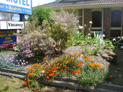 Albury City Motel - ACT Tourism 29