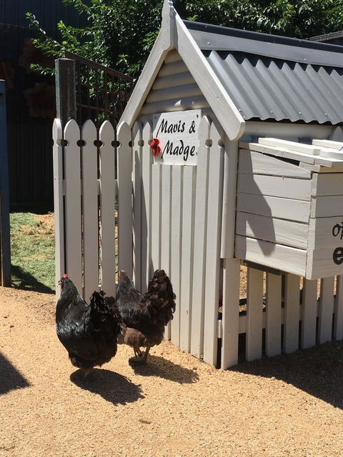 Thelma's Temora - ACT Tourism 12