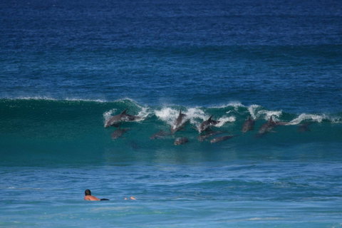 Glen Villa Resort - ACT Tourism 18