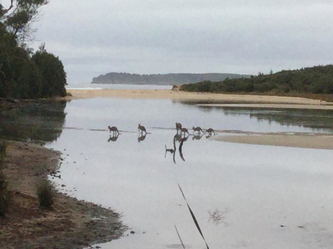 Rocketz At Berrara Beach - ACT Tourism 3