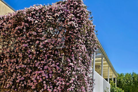 Bundanoon Lodge - ACT Tourism 13