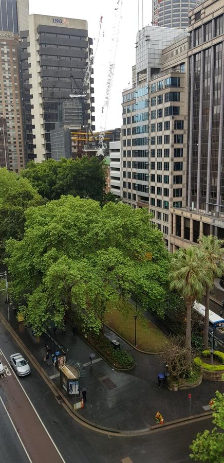 Madison Carrington Apartments - ACT Tourism 1