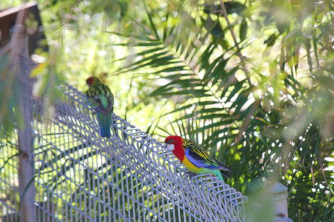 Marty's @ Little Beach - ACT Tourism 27