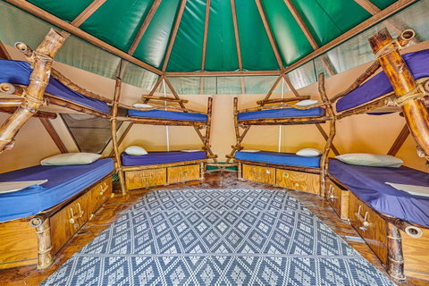 Arts Factory By Nomads - ACT Tourism 4