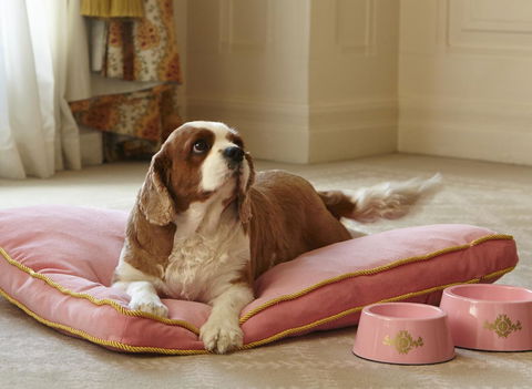 The Langham Sydney - ACT Tourism 23