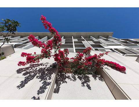 Walk To The Convention Centre, Casino, City - ACT Tourism 1