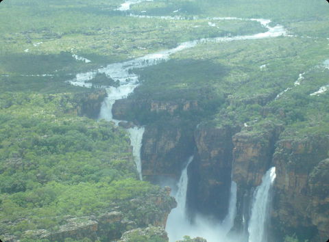 Mercure Kakadu Crocodile - ACT Tourism 33