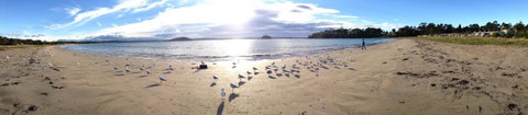 Corrigans Cove - ACT Tourism 2