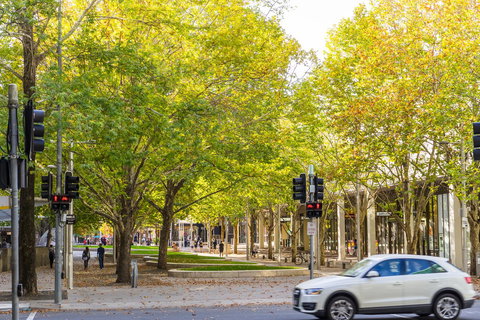 Highgate Executive Apartment City Walk Canberra - ACT Tourism 37