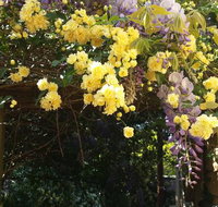 Bowral Road Bed and Breakfast - ACT Tourism