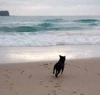 Breakers at Mudjimba Beach - ACT Tourism