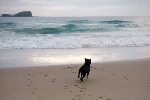 Breakers At Mudjimba Beach - ACT Tourism 0