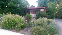 Bright's Wombat's Retreat