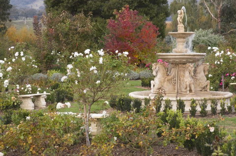 Brookfield Guest House - ACT Tourism 1
