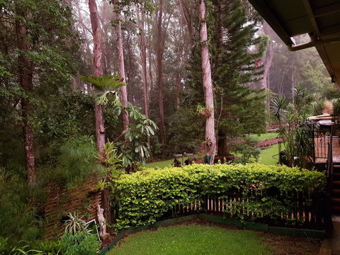 Buderim Forest Hideaway - ACT Tourism 2