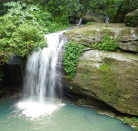 Buderim Forest Hideaway - ACT Tourism