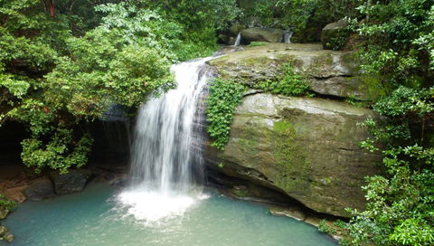 Buderim Forest Hideaway - ACT Tourism 0