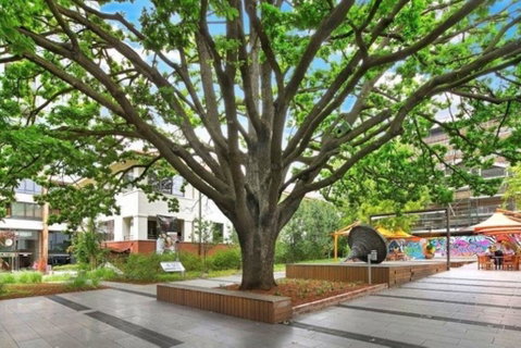 Canberra Luxury Apartment 8 - ACT Tourism 1