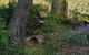 Canyon Cottage - thumb 3