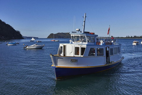 Cape Mackerel Cabin With Magic Palm Beach & Pittwater Views - ACT Tourism 2