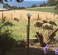 Cape View B and B - ACT Tourism