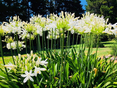 Carawah Ridge - ACT Tourism 1