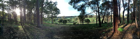 Chandeliers On Abbey - ACT Tourism 1