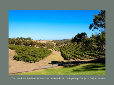 Chapel Hill Winery Guest House - ACT Tourism 1
