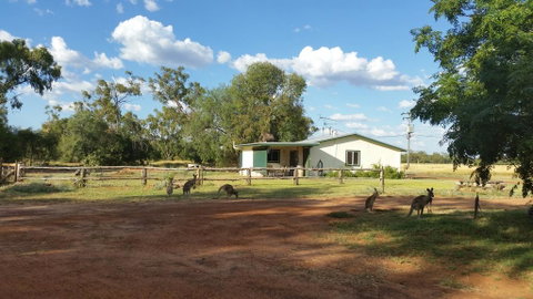 Charleville Bush Cottage - ACT Tourism 1