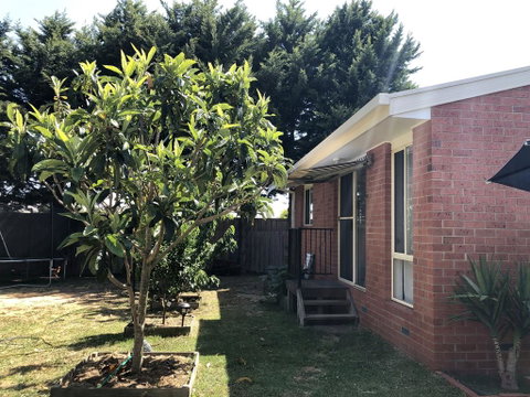 Charlie Sweet Home At Mornington Peninsula - ACT Tourism 1
