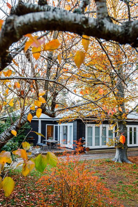 Charming Mountain Cottage - ACT Tourism 3