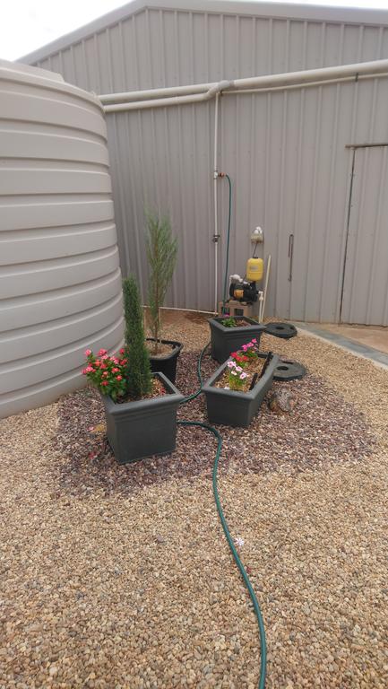 Chrissie's Dongara - ACT Tourism 2