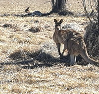 Clansman Motel - ACT Tourism