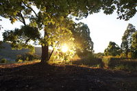 Book Possum Brush Accommodation Vacations ACT Tourism ACT Tourism