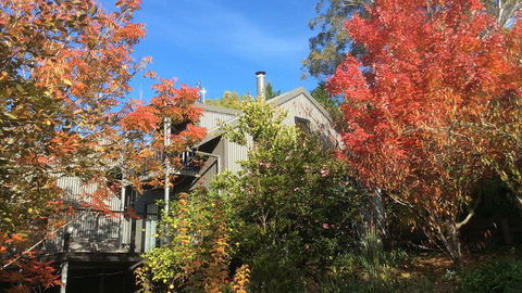 Cloudsong Chalet 4 - Close To The Village Centre! - ACT Tourism 0