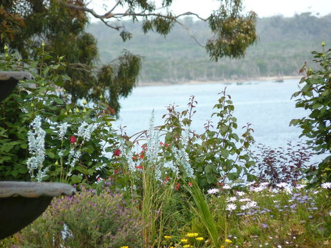 Clovelly Cottage - ACT Tourism 3