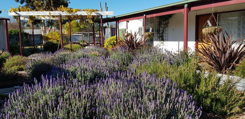 Clunes Motel - ACT Tourism 1