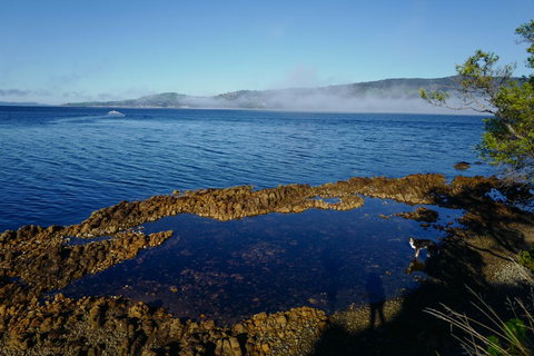 Coast House Tasmania - ACT Tourism 2