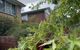 Comfortable Homestay - thumb 1