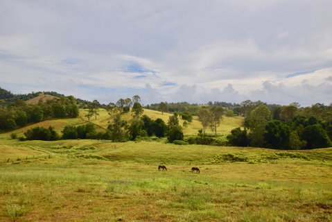 Country Breeze Farm Stay - ACT Tourism 0