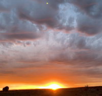 creative 3D sculpture share - ACT Tourism