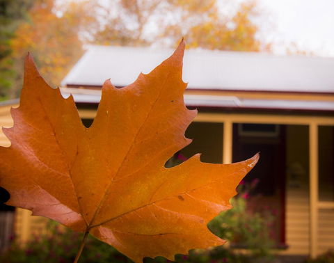 Creek Cottage - ACT Tourism 3